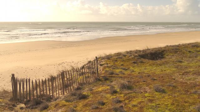 Plage et dune recouverte d'herbe à l'aube au Bois-Plage