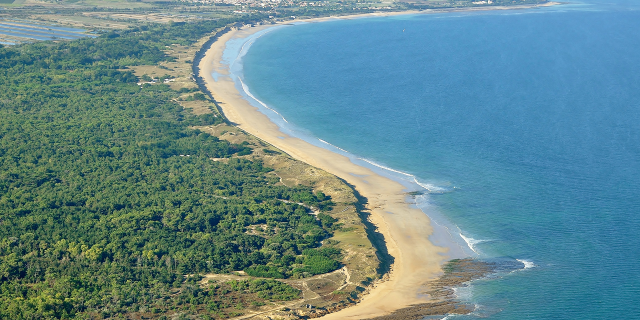 Vue du ciel des plages des Portes et de Saint-Clément et de la forêt du Lizay