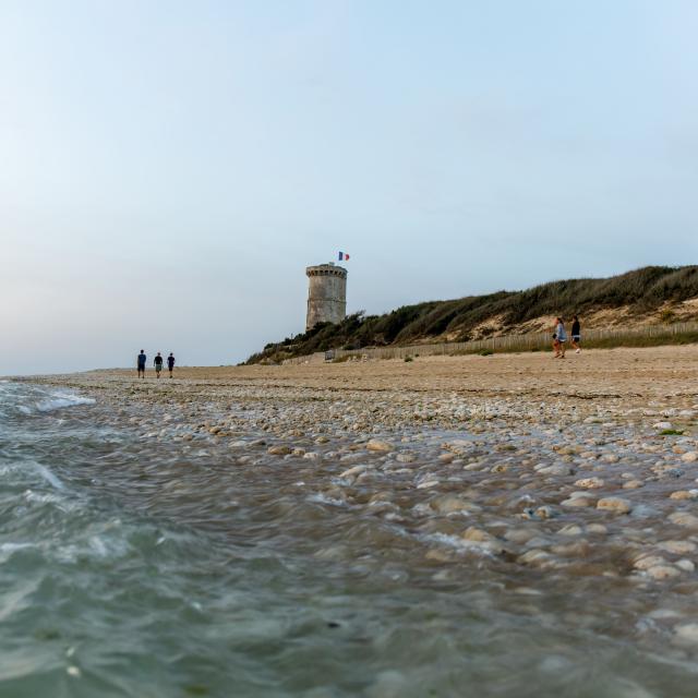 Vue de la vieille tour des Baleines et de la dune herbeuse en arrière plan depuis l'estran