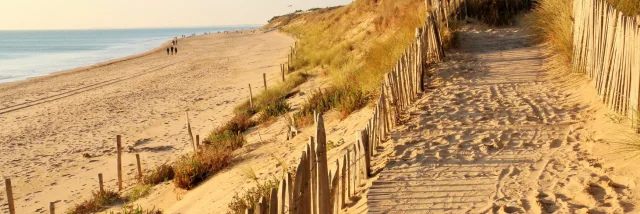 les-plages-au-bois-plage-deutsch-1508765040-scaled-1.jpg