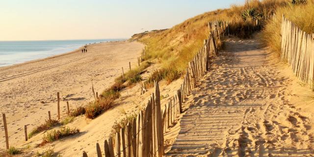 les-plages-au-bois-plage-deutsch-1508765040-scaled-1.jpg