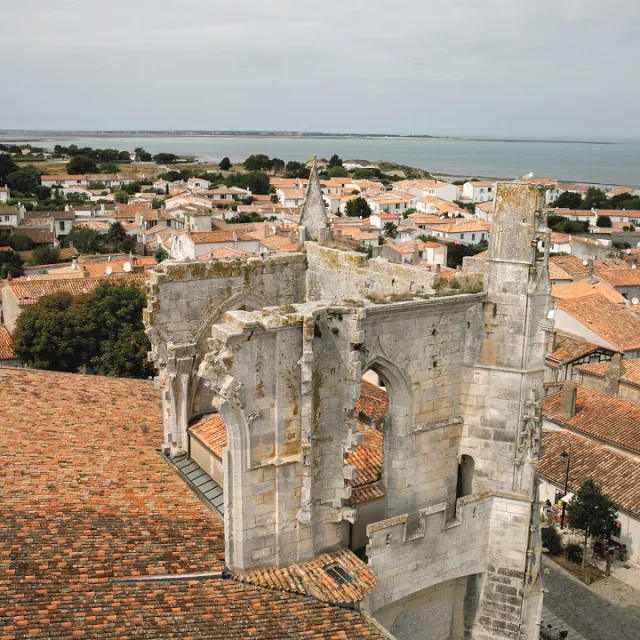 saint-martin-de-re-vue-du-clocherdestination-ile-de-re-mathieu-genon.jpg