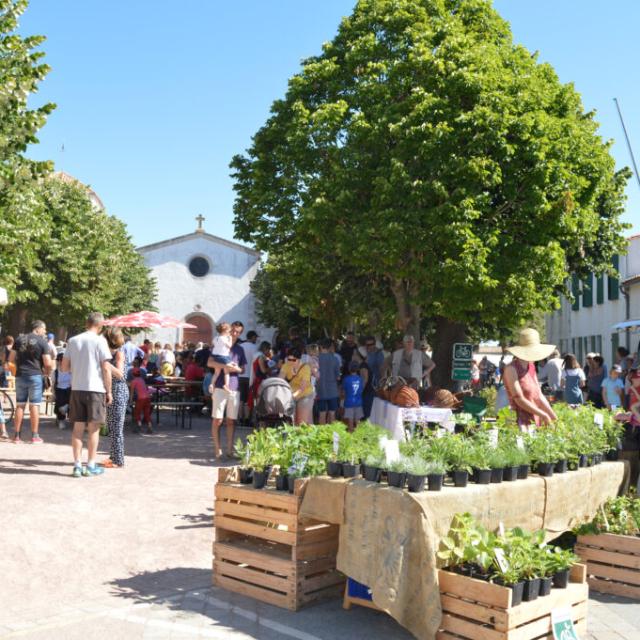 Un marché à Loix, avec des stands de produits locaux sous des arbres ombragés.