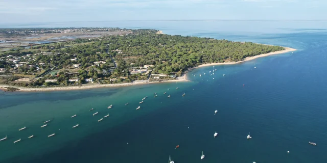la-patache-les-portes-en-re-1-destination-ile-de-re-jules-serrurier.jpg