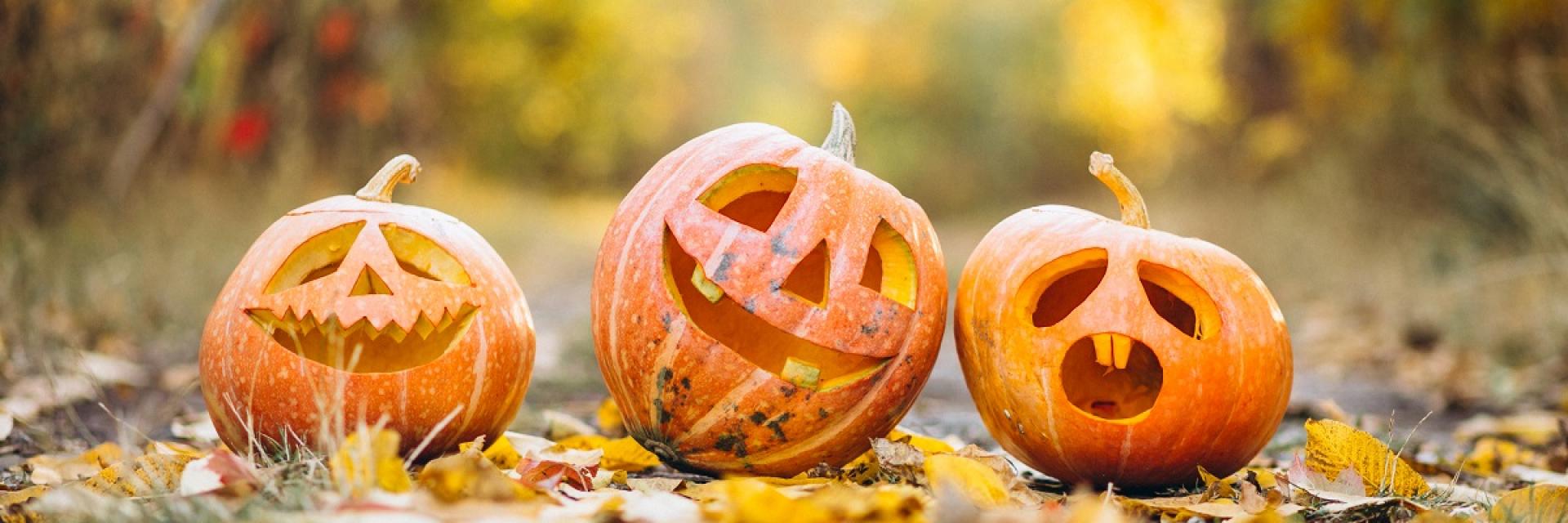 Three cute halloween pumpkins in autumn park