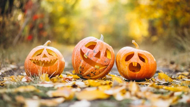 trois citrouilles d'halloween en automne