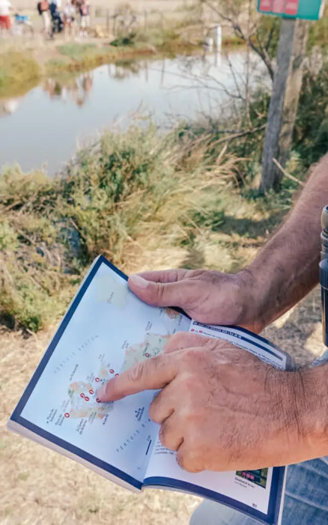 Animador_del_LPO_en_la_Reserva_Natural_Lilleau_des_Niges__indicando_el_Fier_d_Ars_en_una_guía_40008-1200px