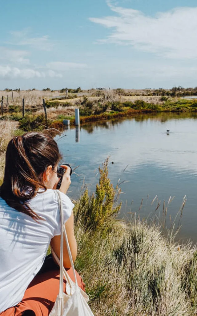 Des visiteurs observent et photographient la faune dans la réserve naturelle de Lilleau des Niges.