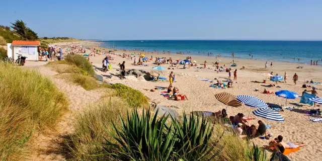Strand Des Prises