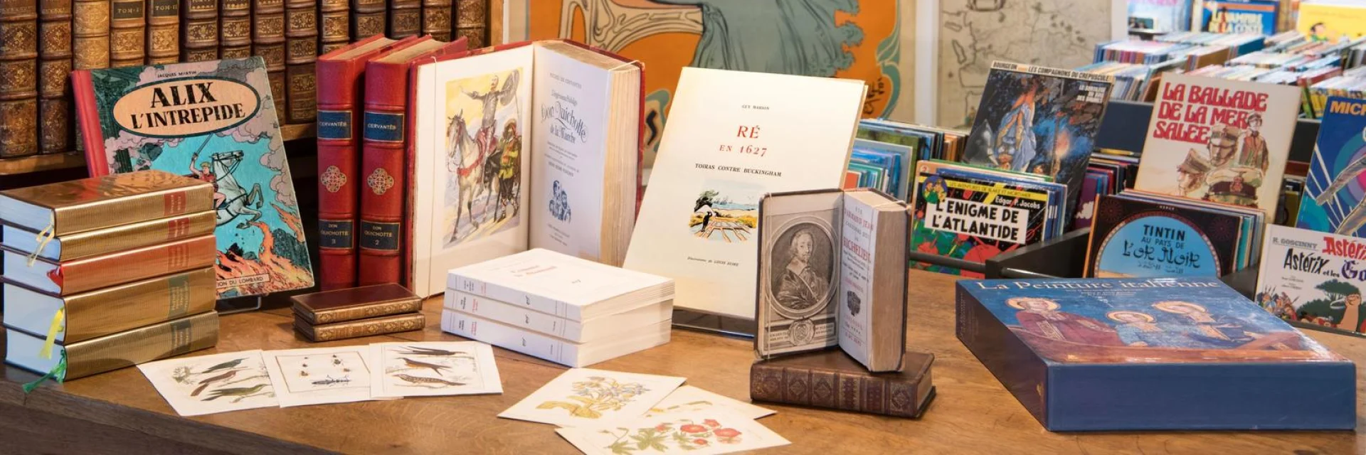 Quillet bookstore Aline Nedelec