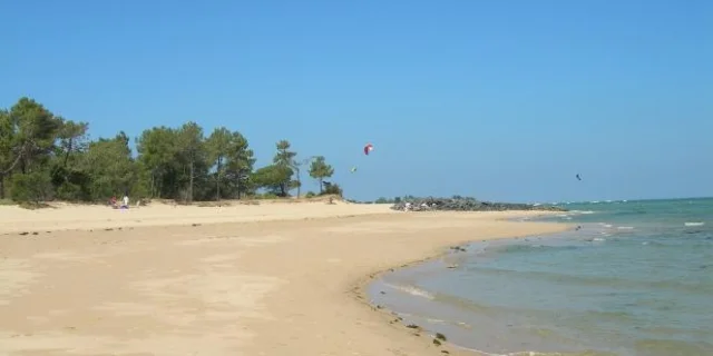Strand Von Kosmetiktasche Hemd