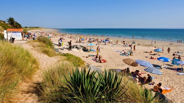 Strand Des Prises