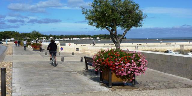 Port De Rivedoux Plage Destination Ile De Re