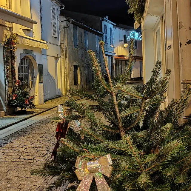Rue de La Flotte avec des sapins de Noël durant la nuit
