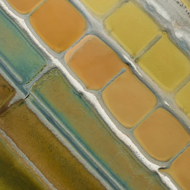 Marais salant de Loix avec des bassins colorés