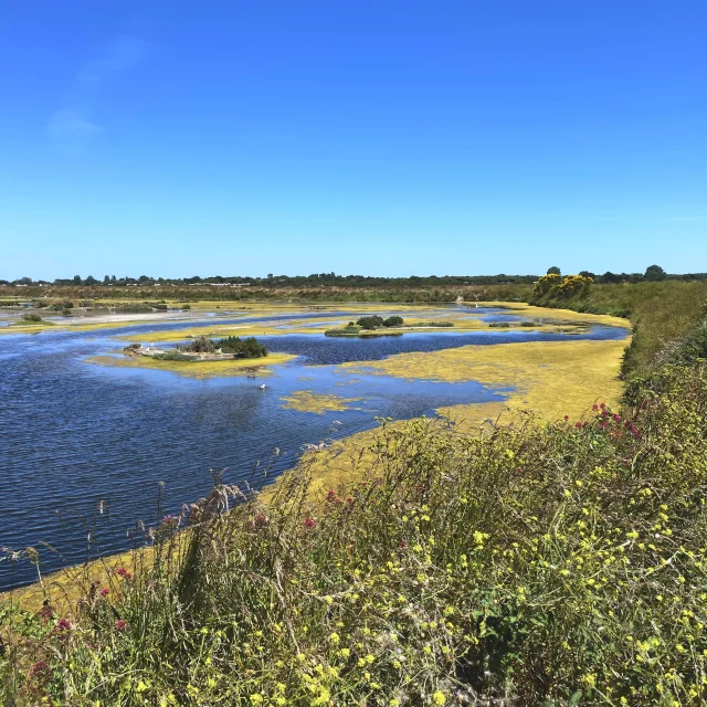 Réserve naturelle avec des marais salants
