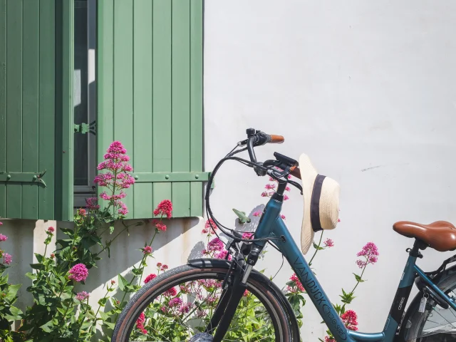 Velo Devant Rose Volet Ile De Re Brock Et Betty