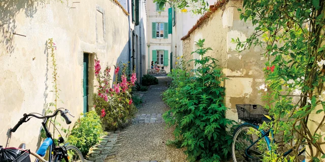 Velo Venelle Fleurie Saint Martin Ile De Re Jerome Lechelle