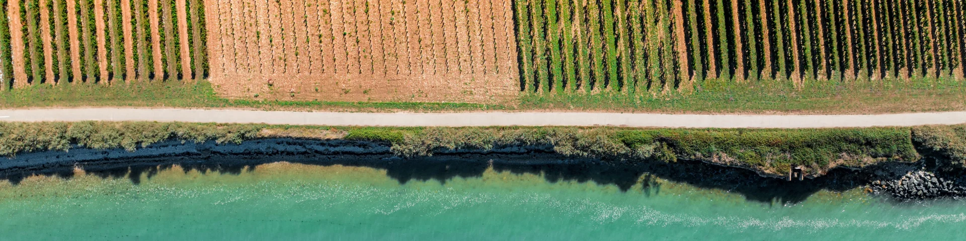 Vue Aerienne Piste Cyclable Entre Mer Vigne Ile De Re Edouard Salmon Skystudio