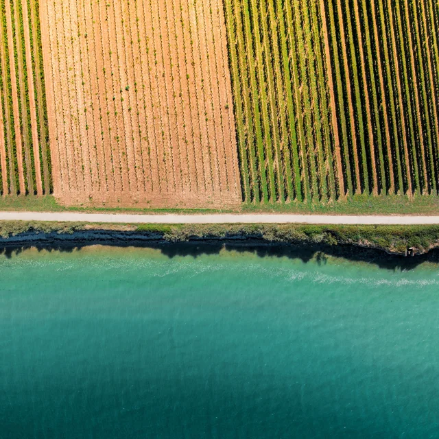 Luftbild Radweg Zwischen Meer Weinreben Ile De Re Edouard Salmon Skystudio