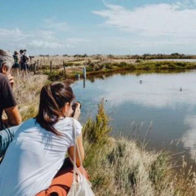Visiteurs Observant Et Photographiant La Faune De La Reserve Naturelle Lilleau Des Niges