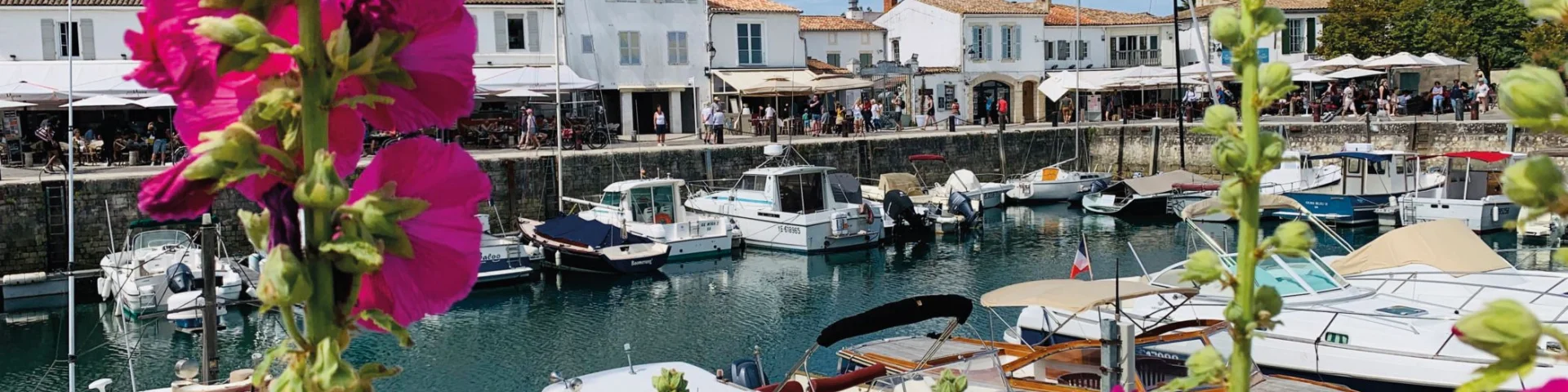 Bateaux Et Fleurs Port Saint Martin Jerome Lechelle