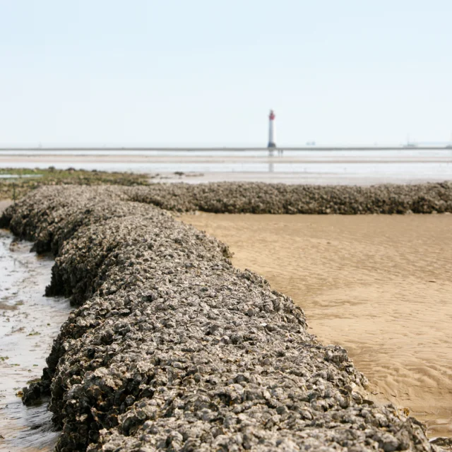 Mur d'écluse à poissons en pierre avec le phare de Chauveau en arrière-plan.