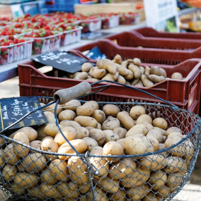 Kartoffelmarkt auf der Insel Re Von Mathieu Genon