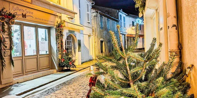 Iluminaciones Noel Rue Pietonne La Flotte 2022 Ile De Re Por Cecile Malivert
