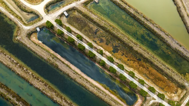 Vue aérienne des marais salants d'Ars-en-Ré