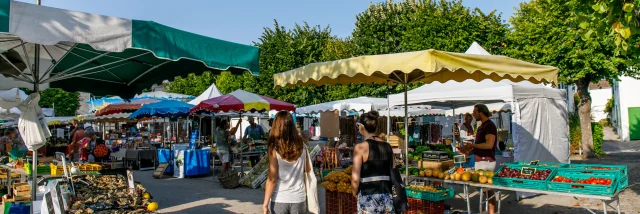 Marche Sainte Marie Ile De Re Mathieu Genon