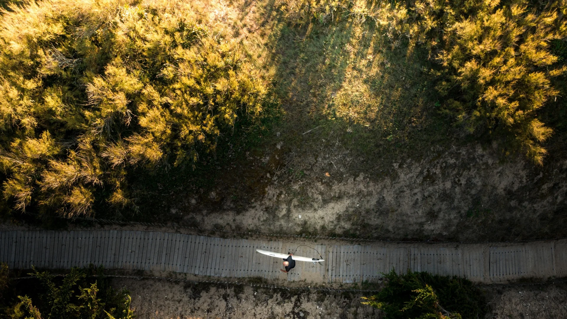 Petit Bec Surfeur Nature Les Portes En Re Edouard Salmon