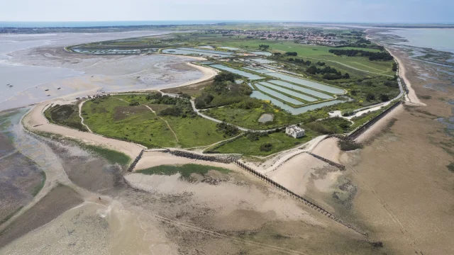 Vue aérienne de la pointe du Grouin à Loix.