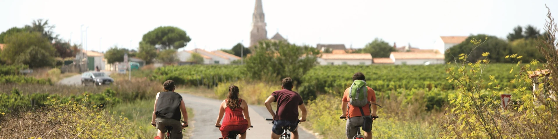 Velos Vignes Sainte Marie Mathieu Genon