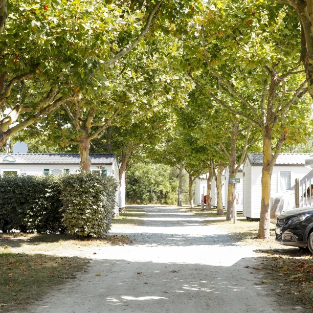 Camping Le Pumaalizee Russeil 3