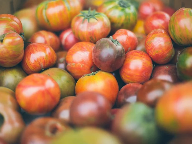 Tomates rouges et vertes