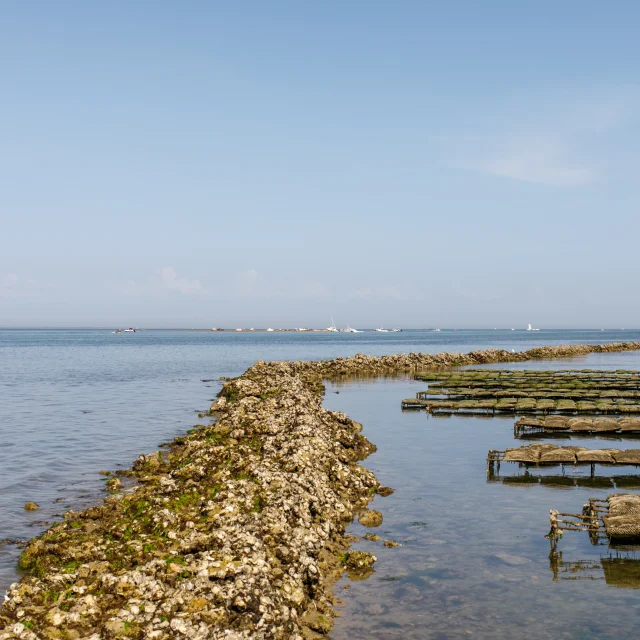 Une écluse à poissons en pierre avec des poches à huîtres sur l'île de Ré.