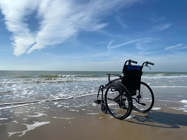 Hans Moerman Reovfkfleok Unsplash