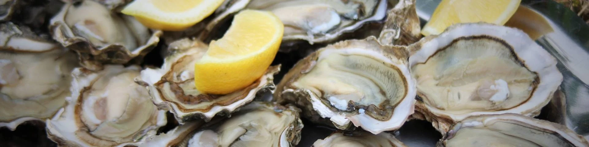 Open Oysters and Yellow Lemon