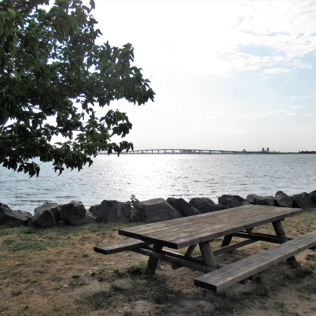Mesa de picnic