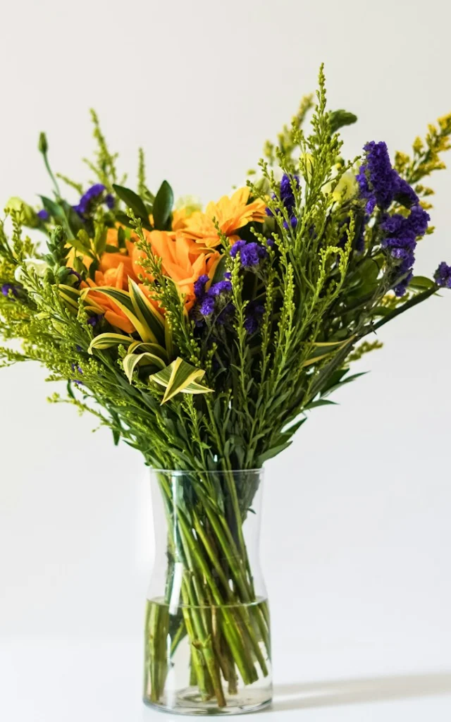 Vinitha V Jhkszrd 9ra Unsplash