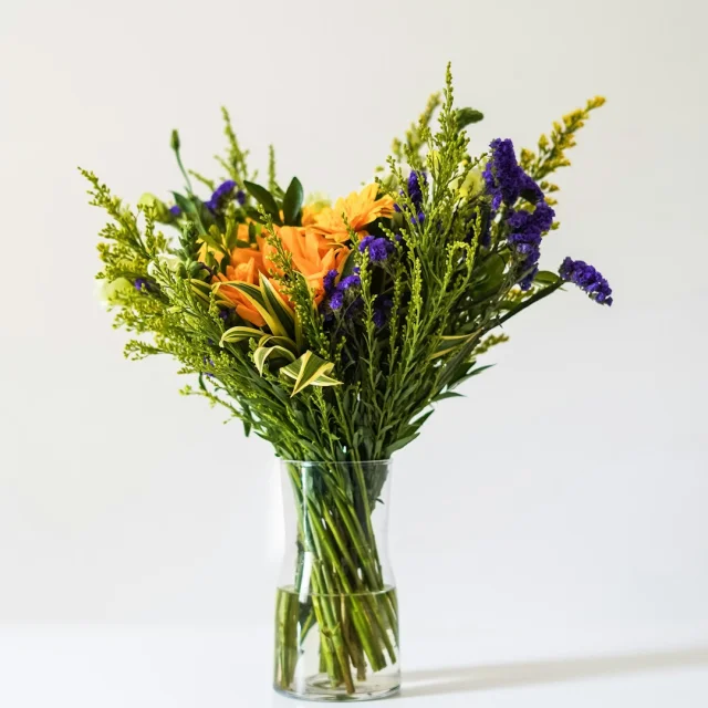 Vinitha V Jhkszrd 9ra Unsplash