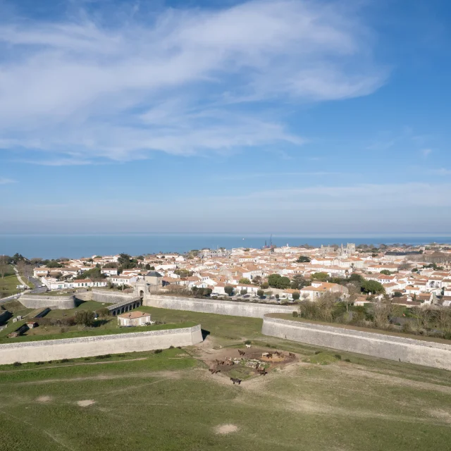 Aerial view Fortification Saint Martin Ile De Re Jules Serrurier