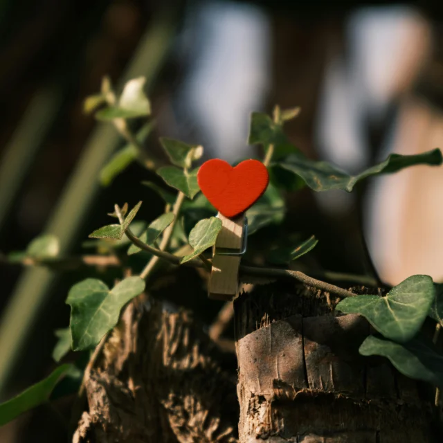 Pexels Enginakyurt 15028974