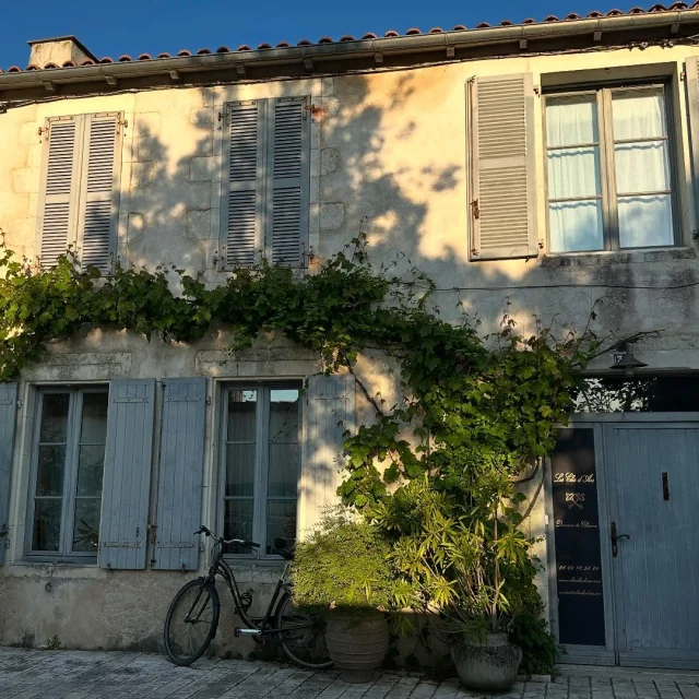 Instagram #iledere