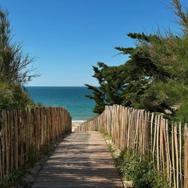 Instagram #iledere