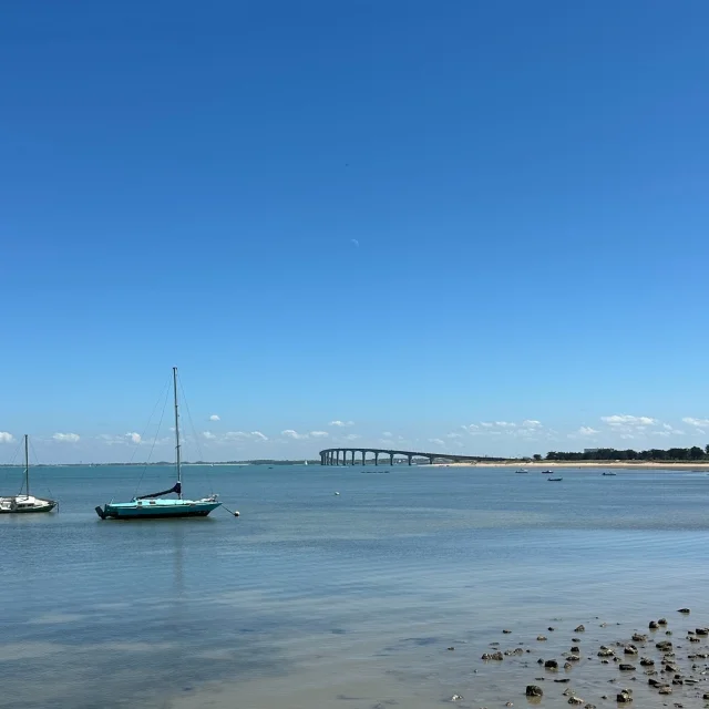 Instagram #iledere