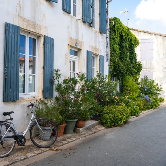 Instagram #iledere