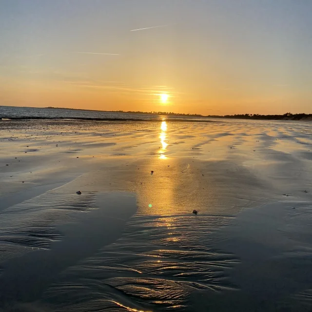 Instagram #iledere