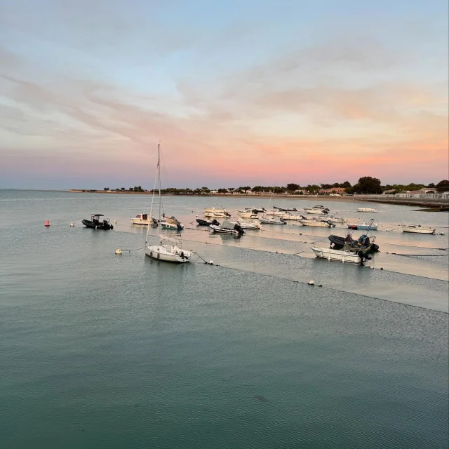 Instagram #iledere